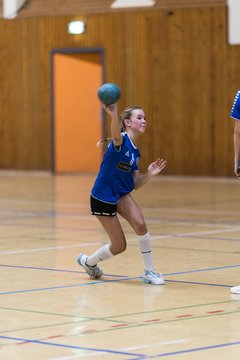Bild 143 - wBJ TSV Ellerau - HSG Stoertal Hummeln : Ergebnis: 26:19